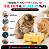 2-In-1 Interactive Cat Toy: Automatic Whack-A-Mole & Rotating Feather Teaser, 3 Play Modes, Non-Slip Weighted Base, Smart Auto Shut-Off, USB-C Rechargeable, Cat Enrichment for Bored & Picky Indoor Cats