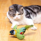 Elastic Rope Bird Cat Toy, Interactive Simulated Feather Teaser Toy for Indoor Cats, Self Playing Hanging Cat Toy to Reduce Boredom and Encourage Exercise Summervibers