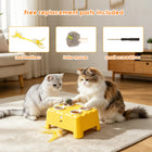 Magic House 4-Hole Whack-A-Mole Interactive Cat Toy, 3 Modes Electric Kitten Toy with Feather Wand & Pop-Up Hide-And-Seek, Rechargeable Stimulating Cat Enrichment Toys for All Cats