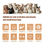 Magic House 4-Hole Whack-A-Mole Interactive Cat Toy, 3 Modes Electric Kitten Toy with Feather Wand & Pop-Up Hide-And-Seek, Rechargeable Stimulating Cat Enrichment Toys for All Cats